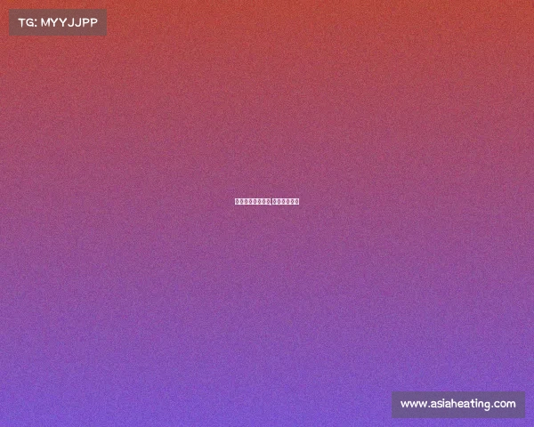 英冠最新赛事分析,英冠赛程结果